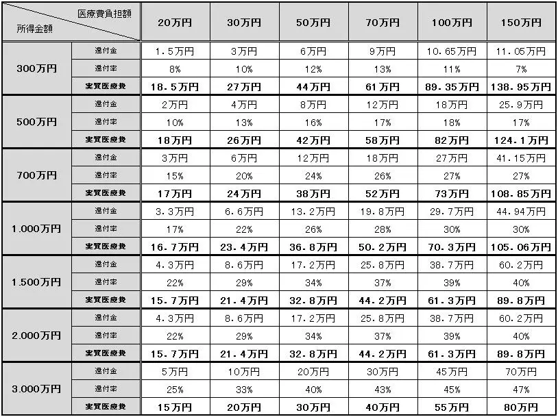 所得別医療費控除の一覧表