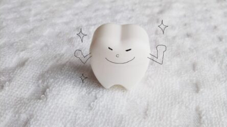 健康な歯